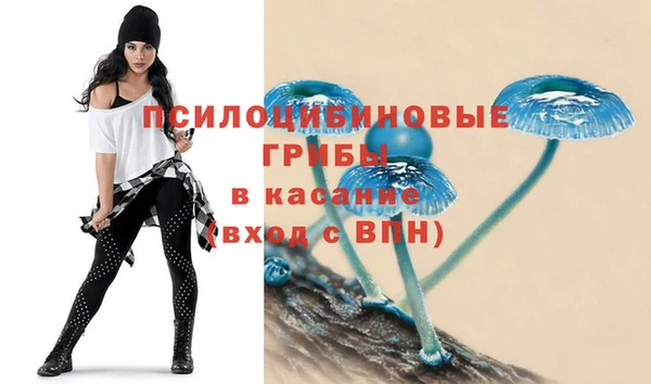 гидра Надым