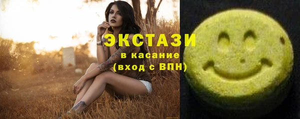 гидра Надым