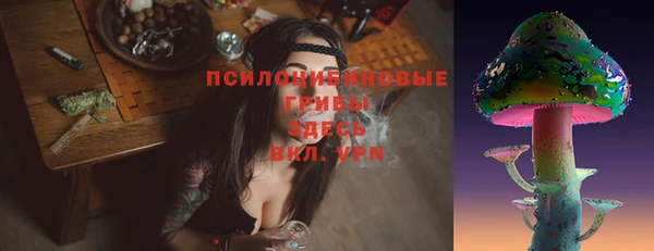 гидра Надым