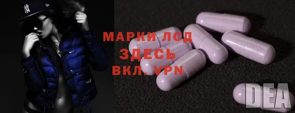 гидра Надым