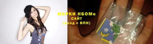 гидра Надым
