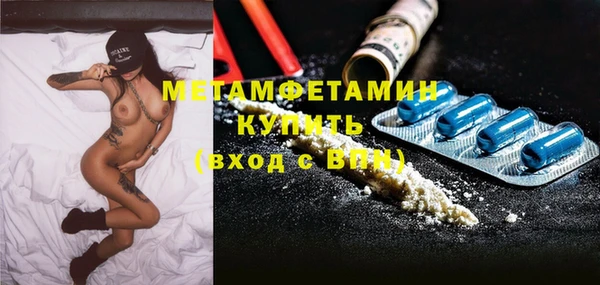 гидра Надым