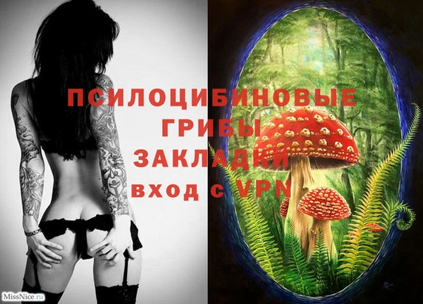 не бодяженный Михайлов