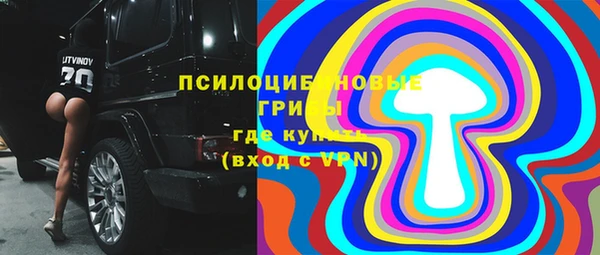 гидра Надым
