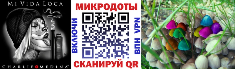 Псилоцибиновые грибы мухоморы даркнет сайт ОМГ ОМГ зеркало Красноперекопск