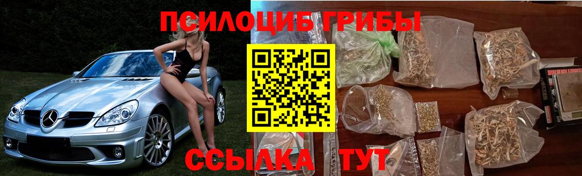 Псилоцибиновые грибы Psilocybe Красноперекопск